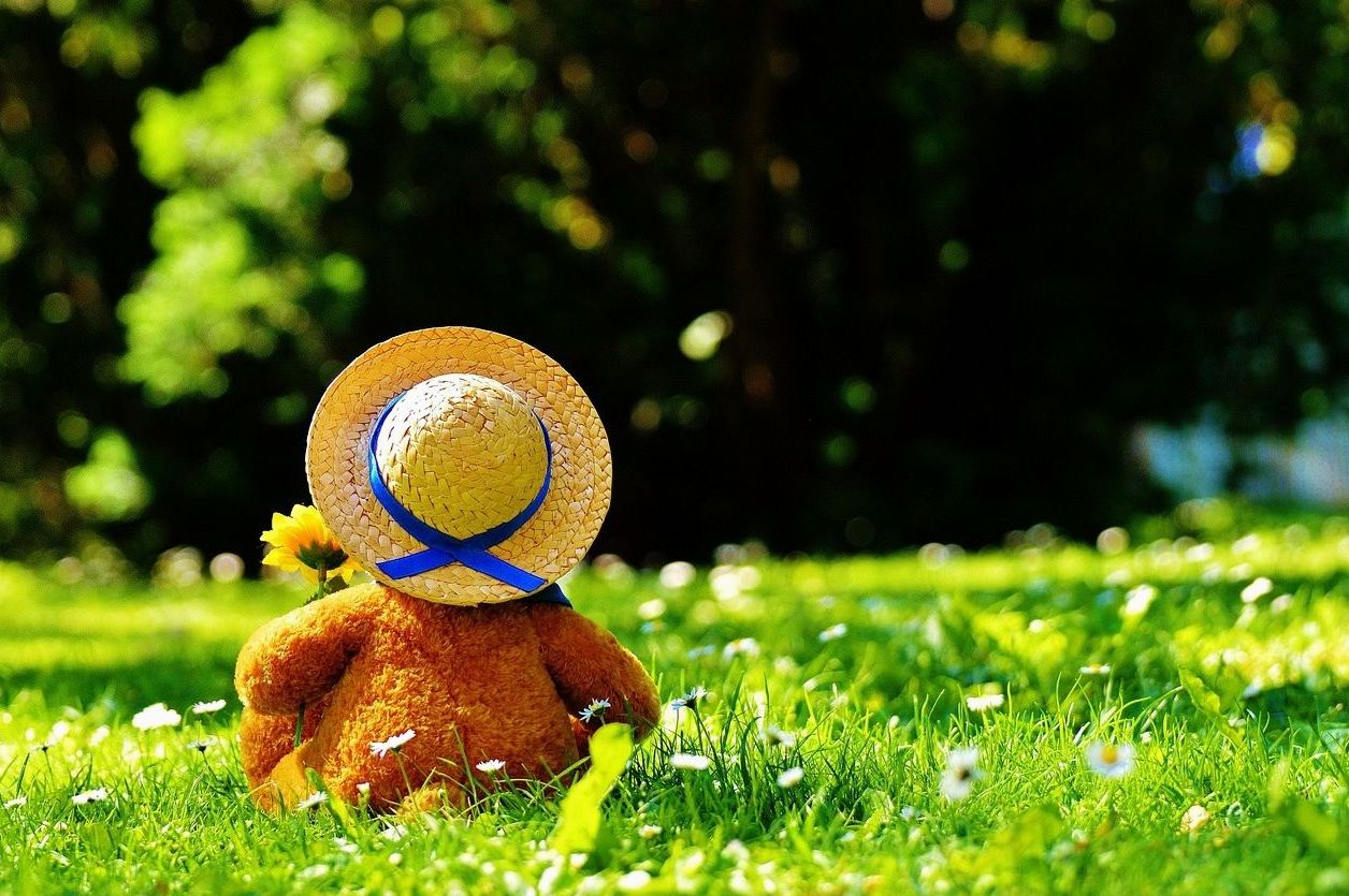 Soft plush toys ready for a new best friend